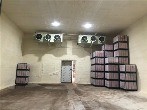 激发你的热情！苹果冷库安装案例